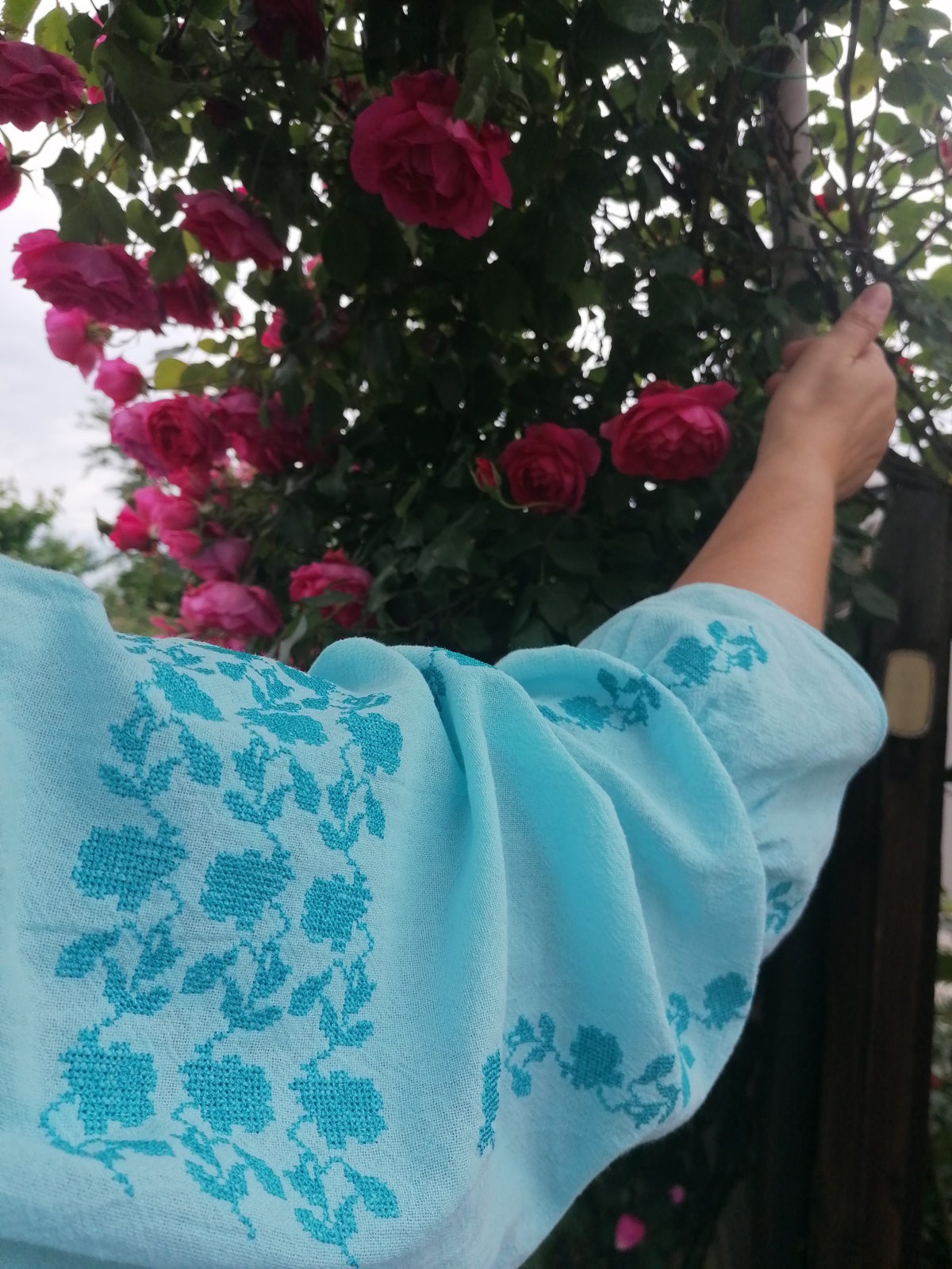 Poza produs Ie trandafiri Dani