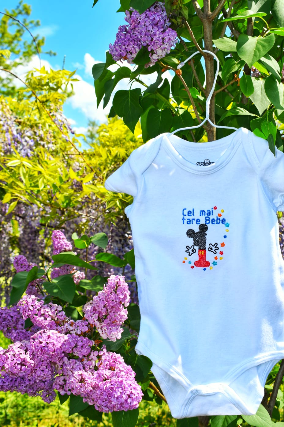 Poza produs Personalizare Tricou Denis